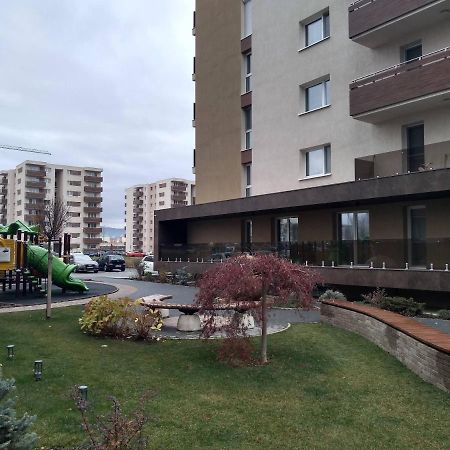 Casa Unchiu' Apartment Brașov Exterior foto